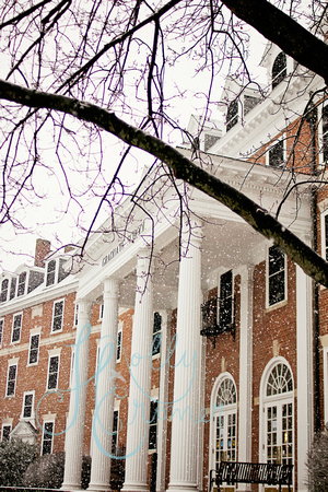 Virginia Tech Snow - Graduate School